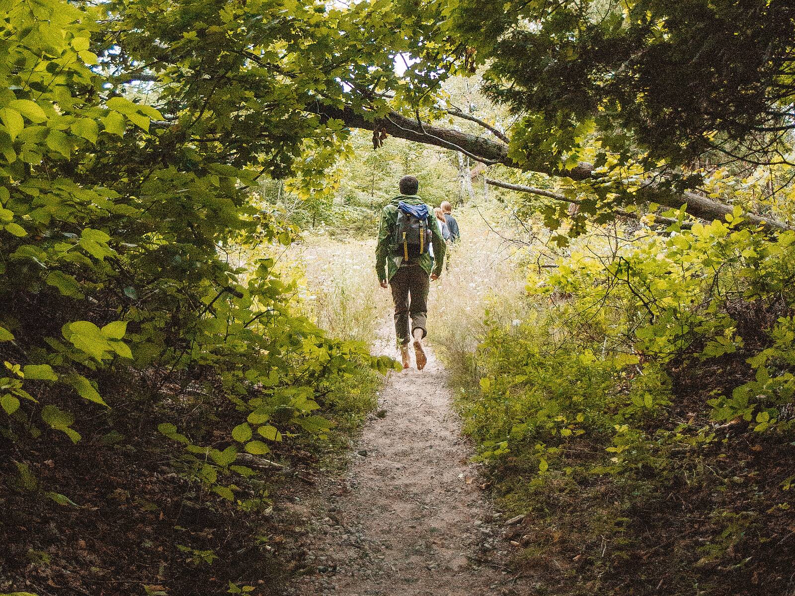 Öffnet die Seite 'Kulturwanderungen'